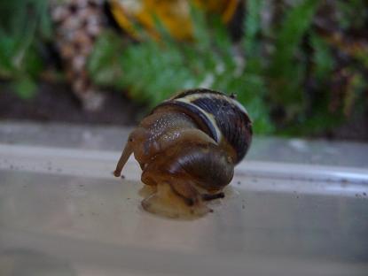 Bilder 2009 738.jpg