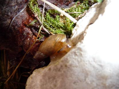 Bilder 2009 1024.jpg