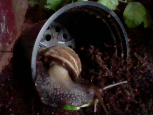 HNI_0076.JPG