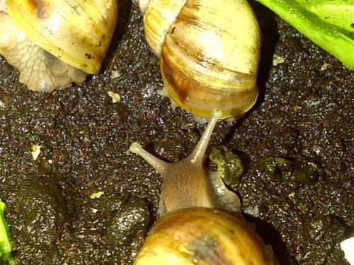 IMG-20110517-00096 (Small).jpg