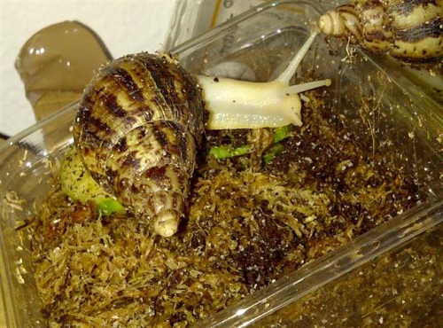 IMG-20110528-00226 (Small).jpg