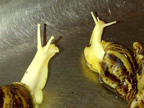 Ubbergen-20110528-00236 (Small).jpg