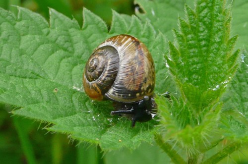 bild1.jpg