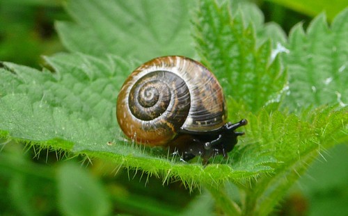 bild2.jpg