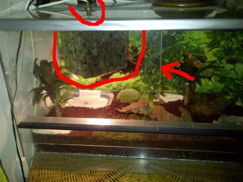 IMG-20110622-00387 (Small).jpg