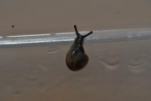 DSC_0005.jpg