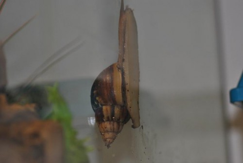 DSC_0039.jpg