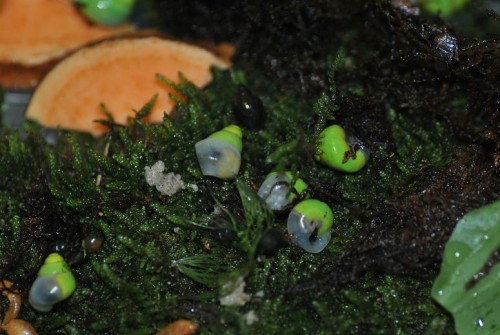 DSC_0060.jpg