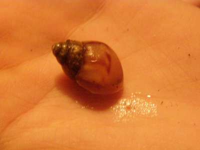 Fräulein Einstein-400.jpg