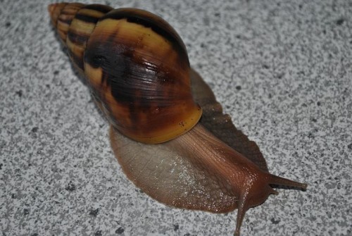 DSC_0014.jpg