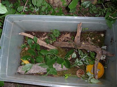 Bilder 2009 4277.jpg