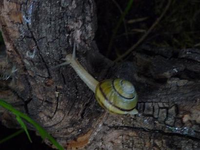 Bilder 2009 4290.jpg