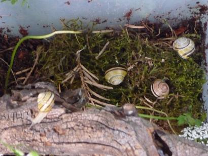 Bilder 2009 4287.jpg