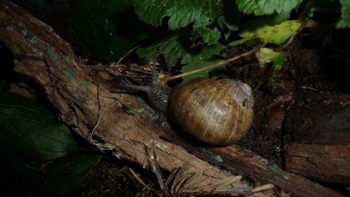 Bilder 2009 4305.jpg