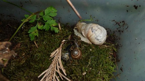 Bilder 2009 4306.jpg