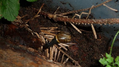 Bilder 2009 4309.jpg