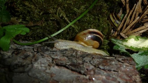 Bilder 2009 4322.jpg