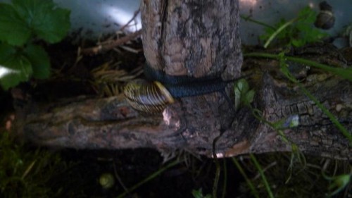 Bilder 2009 4331.jpg