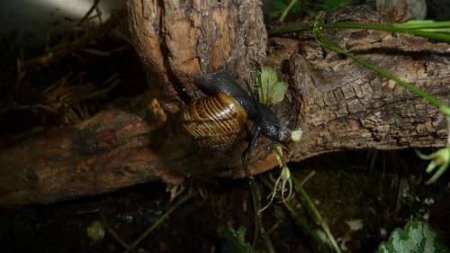 Bilder 2009 4336.jpg