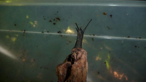 Bilder 2009 4340.jpg