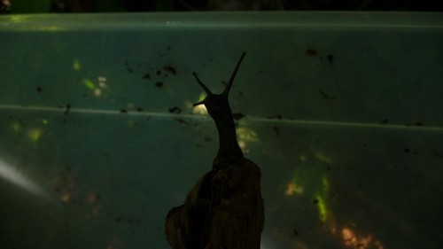 Bilder 2009 4341.jpg