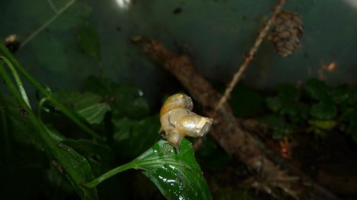 Bilder 2009 4342.jpg