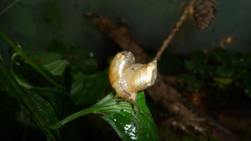 Bilder 2009 4343.jpg