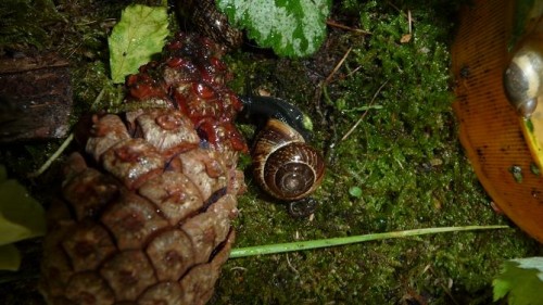 Bilder 2009 4666.jpg