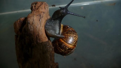 Bilder 2009 4680.jpg