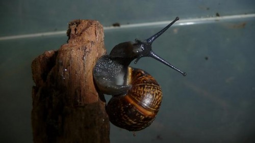 Bilder 2009 4681.jpg