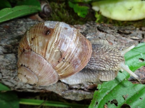 Bilder 2009 4684.jpg