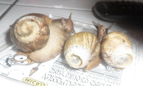 13.09.2011_1.JPG