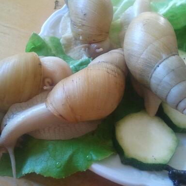 2011-09-30 15.25.42-1.jpg