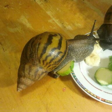 2011-09-29 19.11.08-1.jpg