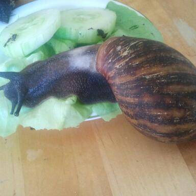 2011-09-30 16.00.20-1.jpg