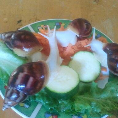 2011-10-02 11.13.25-1.jpg