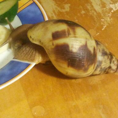 2011-09-29 19.40.21-1.jpg