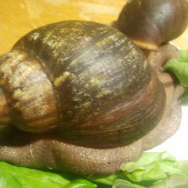 2011-09-29 20.04.41-1.jpg