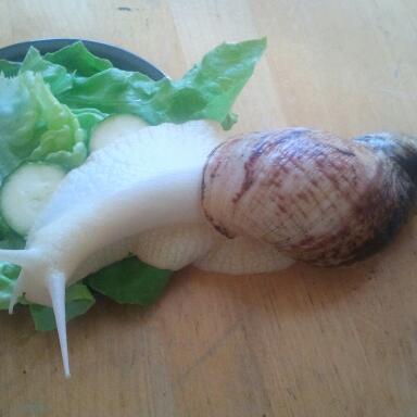 2011-09-30 15.15.48-1.jpg