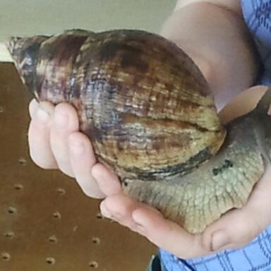 2011-09-22 14.45.12-1.jpg