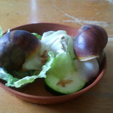 2011-10-09 11.20.45-1.jpg