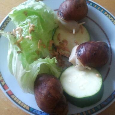 2011-10-09 10.33.37-1.jpg