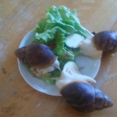 2011-10-09 09.41.39-2.jpg