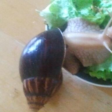 2011-10-09 10.07.01-1.jpg