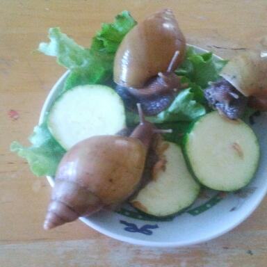 2011-10-09 09.59.41-1.jpg