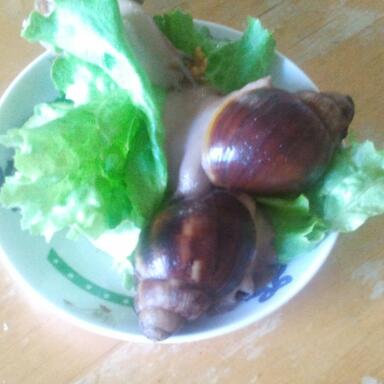 2011-10-09 10.22.53-1.jpg