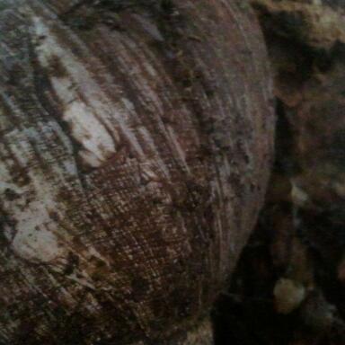 2011-10-11 11.55.57-1.jpg