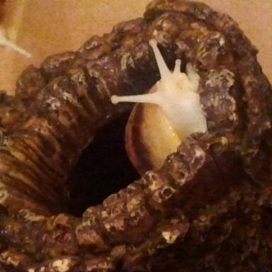 2011-11-02 21.57.04-1.jpg