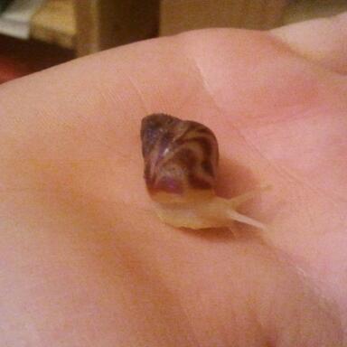 2011-11-02 16.20.55-1.jpg