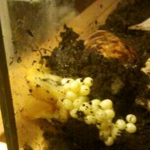 2011-11-01 21.33.06-1-1.jpg